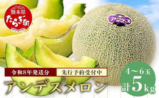【2026年4月下旬以降発送分】アンデスメロン 4玉～6玉 (1箱5kg) 先行予約 熊本県 多良木町産 果物 フルーツ メロン 先行予約 5kg 青肉 期間限定 数量限定 012-0556-2026 1381504 - 熊本県多良木町