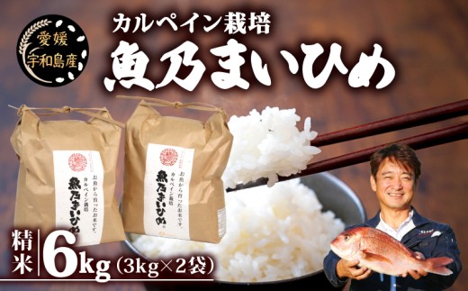 令和7年産 新米予約 コシヒカリ 魚乃まいひめ カルペイン栽培 6kg (3kg×2袋) 精米 秀長水産 新米 令和7年9月中旬以降発送 三間米 お米 米 環境保全 カルペイン 鯛 真鯛 こめ コメ kome 小分け お弁当 弁当 ツヤツヤ 美味しい 産地直送 数量限定 国産 愛媛 宇和島 G022-016010 2238234 - 愛媛県宇和島市