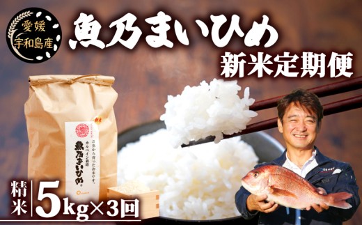 新米 定期便 5kg×3回 計15㎏ コシヒカリ 魚乃まいひめ カルペイン栽培 精米 秀長水産 新米 三間米 お米 米 環境保全 カルペイン 鯛 真鯛 こめ コメ kome 小分け お弁当 弁当 おにぎり ご飯 ごはん ツヤツヤ 美味しい 産地直送 数量限定 国産 愛媛 宇和島 G053-016011 2238160 - 愛媛県宇和島市