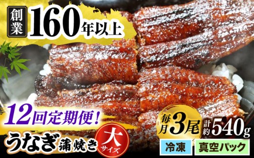 【うなぎや】 【12回定期便】 炭火焼 うなぎの蒲焼き 3尾 【紀州備長炭使用】 鰻 ウナギ 丑の日 多治見市/うなぎや [TFO012]
