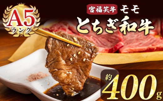 宮福笑牛(とちぎ和牛) A5 モモ焼き肉 約400g  |牛肉 和牛 焼き肉 やきにく 焼肉 焼肉用 モモ肉 もも肉 モモ もも 旨味 美味しい 肉 お肉 栃木県共通返礼品 栃木県 真岡市