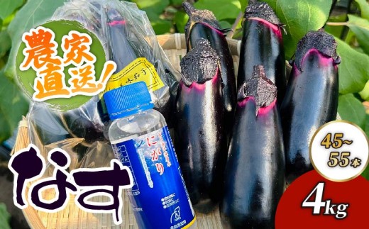 農家直送　土佐の美味茄子の新鮮ナス　４kg　（室戸海洋深層水にがり使用） 野菜 なす ナス 常温 小袋 国産 夏野菜 茄子 小分け 旬  高知