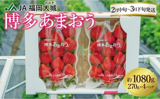 ★先行予約★いちごの王様 福岡県産博多あまおう270g×4パック【2026年2月中旬～3月順次出荷予定】 1810770 - 福岡県大川市