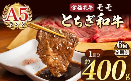 【定期便6回】宮福笑牛(とちぎ和牛) A5 モモ焼き肉 約400g  | 定期便 牛肉 和牛 焼き肉 やきにく 焼肉 焼肉用 モモ肉 もも肉 モモ もも 旨味 美味しい 肉 お肉 栃木県共通返礼品 栃木県 真岡市