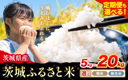 米 茨城 ふるさと米 定期便あり 選べる 精米 無洗米 5kg 10kg 15kg 20kg [出荷時期をお選びください]茨城県 河内町 米 白米 精米 国産 お米 おこめ お弁当 おにぎり