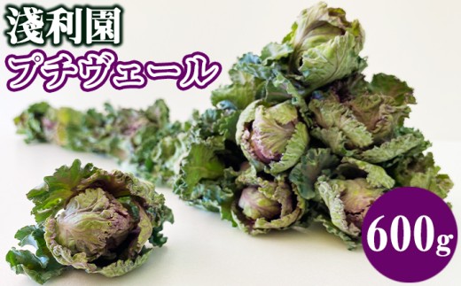 【 2025年 12月 ～ 2026年 3月 限定発送 】 岩手県産 プチヴェール 600g 【淺利園】／ 野菜 やさい フレッシュ 新鮮 冬野菜 旬 旬野菜 甘い 美味しい 芽キャベツ ケール ６００ｇ 希少 稀少 期間限定 お取り寄せ グルメ 季節限定 冬 産地直送 農家直送 国産 人気 おすすめ 2242858 - 岩手県滝沢市