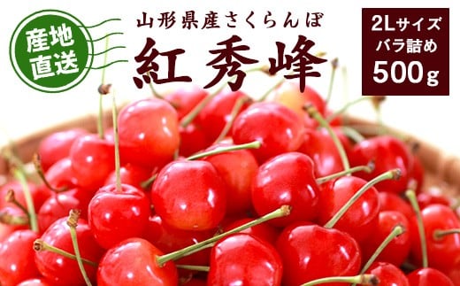 【先行予約】令和8年産 山形県産 こだわり農家の新鮮 さくらんぼ 500g 2Lサイズ 秀品「紅秀峰」 生産者直送 【2025年6月中旬頃から6月下旬頃】※ 配送不可 沖縄・離島　020-A-JF022