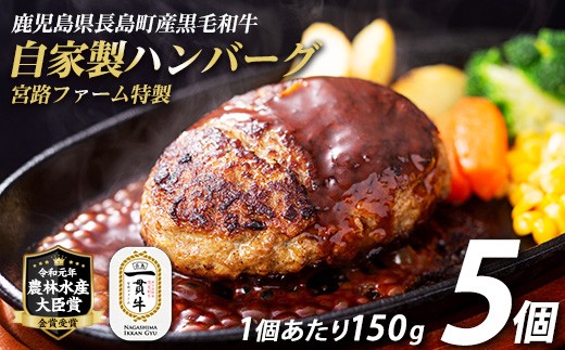 鹿児島県産合挽き肉使用 自家製ハンバーグ計5個(1個150g)【宮路ファーム】f-miyaji-1209-5