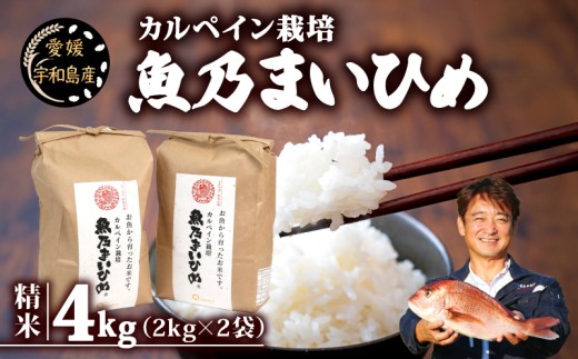 令和7年産 新米予約 コシヒカリ 魚乃まいひめ カルペイン栽培 4kg (2kg×2袋) 精米 秀長水産 新米 令和7年9月中旬以降発送 三間米 お米 米 環境保全 カルペイン 鯛 真鯛 こめ コメ kome 小分け お弁当 弁当 ツヤツヤ 美味しい 産地直送 数量限定 国産 愛媛 宇和島 G015-016009 2238233 - 愛媛県宇和島市