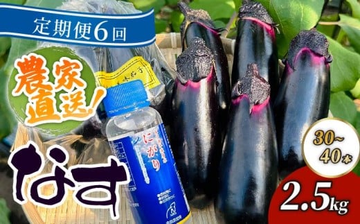 【定期便6回発送】農家直送　土佐の美味茄子の新鮮ナス　２．５kg　（室戸海洋深層水にがり使用） 野菜 なす ナス 常温 小袋 国産 夏野菜 茄子 小分け 旬 51000円 高知 頒布会
