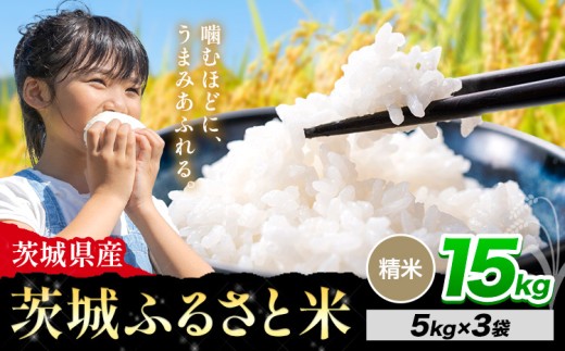 米 茨城 ふるさと米 精米 15kg《10月下旬-11月末頃出荷》茨城県 河内町 米 国産 お米 おこめ お弁当 おにぎり