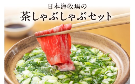 日本海牧場の茶しゃぶしゃぶセット（京たんくろ和牛）　お肉 肉 牛肉 国産 しゃぶしゃぶ 鍋 セット 詰め合わせ ロース 赤身肉 ブランド 牛 お鍋 ふるさと納税 鍋セット ふるさと納税 しゃぶしゃぶ 生産者応援 送料無料　NH00025