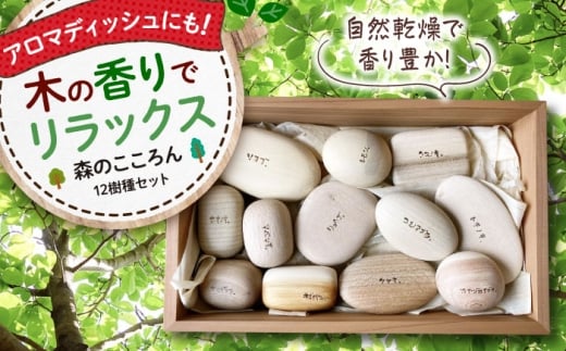 森のこころん12樹種セット 木製 おもちゃ 知育 玩具  ごっこ遊び 子供 三次市/一場木工所 [APAL015] 1260827 - 広島県三次市
