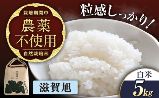 自然栽培米 玄米 滋賀旭 5kg 栽培期間中 農薬不使用 米 お米