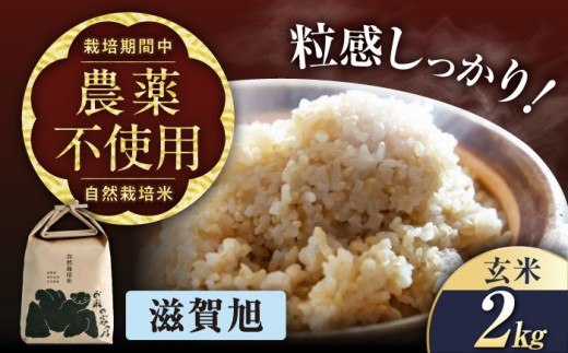 自然栽培米 玄米 滋賀旭 2kg 栽培期間中 農薬不使用 米 お米