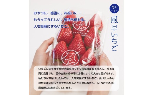 茨城県産　とちおとめ　Ｌサイズ 茨城県産 Lサイズ とちおとめ苺