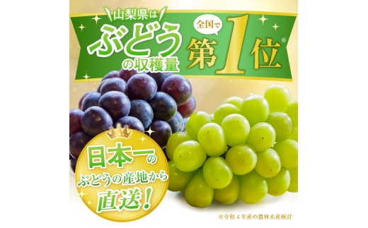 山梨県 牧丘産 種なし巨峰 4kg 楽天市場】【送料無料】ぶどう 巨峰 種なし 約1kg 2房 秀品 山梨