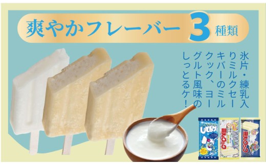 竹下製菓 名物アイスバラエティ20本セット