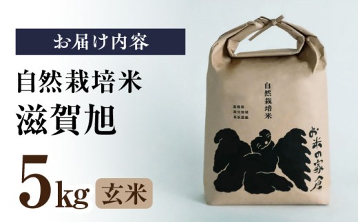 自然栽培 在来種 滋賀旭 5kg 玄米　米 お米 玄米  5kg