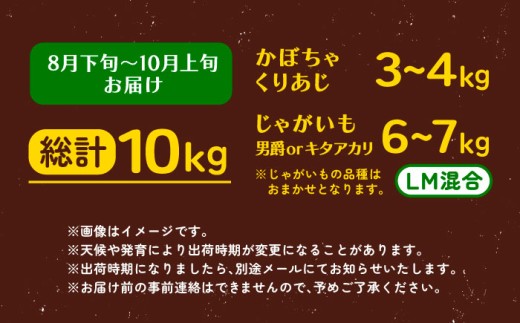 ジャガイモ じゃがいも 食べ比べ かぼちゃ 野菜 芋 イモ いも 北海道産