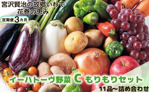 【定期便３ヶ月】イーハトーヴ野菜C もりもりセット 11品～ 詰め合わせ 【1208】 306115 - 岩手県花巻市