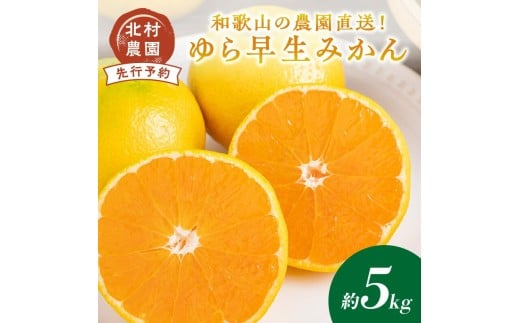 和歌山の農園直送！北村農園のゆら早生みかん5kg《先行予約》