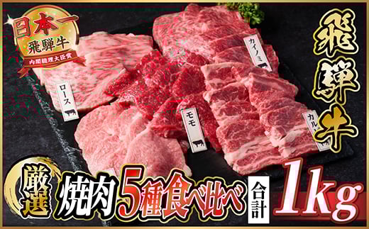 飛騨牛　焼肉厳選5種食べ比べセット(カルビ・トモサンカク・モモ・ロース・カイノミ)約1kg　タレ付き【1532671】 1425217 - 岐阜県羽島市