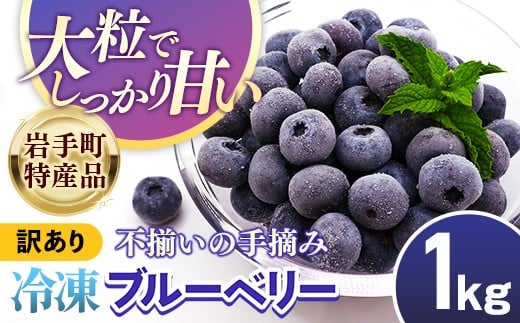 【岩手町産】冷凍ブルーベリー 1kg【訳あり】 冷凍 家庭用 大粒 不揃い 果物 フルーツ 国産 岩手県産 フローズン おやつ デザート 岩手県 岩手町 2194381 - 岩手県岩手町