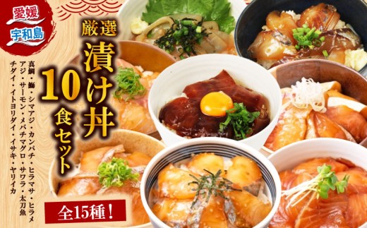 ＼10営業日以内発送／ 漬丼 厳選 活締め 全15種  お任せ 漬け丼 10食 セット 南予ビージョイ 真鯛 鰤 シマアジ カンパチ ヒラマサ ヒラメ アジ サーモン メバチマグロ サワラ 太刀魚 チダイ イトヨリダイ イサキ ヤリイカ 食べ比べ づけ丼 人気 加工品 新鮮 水産品 漬け 刺身 海鮮 海鮮丼 数量限定 愛媛 宇和島 D017-150021 2283475 - 愛媛県宇和島市