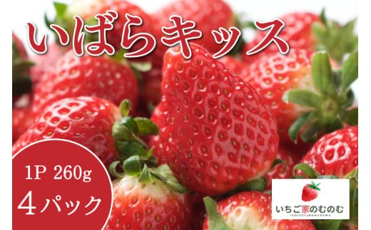 いちご いばらキッス 4p いちご家のむのむ イチゴ 苺 4パック 国産 果物 フルーツ くだもの 1月 2月 発送 冬 旬 産地直送 農家直送 産直 甘い デザート スイーツ 家庭用 贈答 贈答用 茨城 茨城県 石岡市 (A28-001)