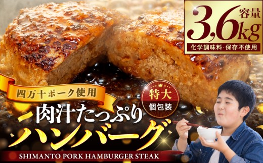 ハンバーグ 四万十ポーク 入り 3.6kg ( 200g × 18個 ) 冷凍 真空 小分け 個包装 肉汁 たっぷり 大容量 大きめ 合挽き 牛肉 豚肉 保存料 不使用 ビーフ ポーク 合いびき肉 挽肉 ジューシー お弁当 おかず 惣菜 晩ごはん 贅沢 ギフト 贈り物 贈答 2202166 - 高知県須崎市