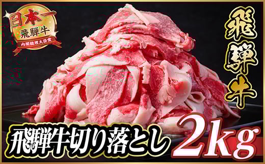 飛騨牛　切り落とし　約2kg(約500g×4パック)＜冷蔵便＞A4～A5等級 黒毛和牛 小分け【1531516】