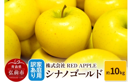 【25年11月発送】りんご【訳あり】家庭用 シナノゴールド 約10kg【レビューキャンペーン】