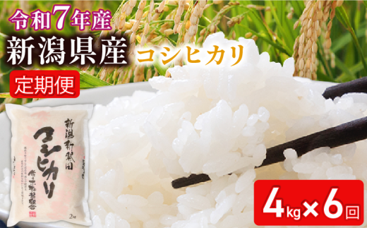 【2025年12月開始定期便】令和7年産 新潟県新発田産 特別栽培米コシヒカリ4㎏（2㎏×2袋）×6か月 米 お米 ごはん 白米 コシヒカリ 佐々木耕起組合 プレゼント ギフト 贈答 定期便 特別栽培米 新潟県 新潟産 新発田産 D19_002_202512 2238328 - 新潟県新発田市
