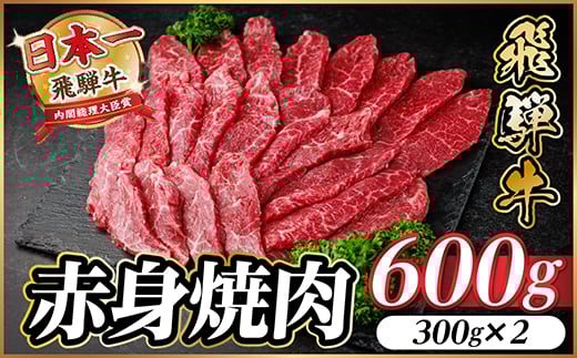 飛騨牛 赤身(焼肉・BBQ用) 約600g＜冷蔵便＞A4～A5等級 黒毛和牛【1646152】