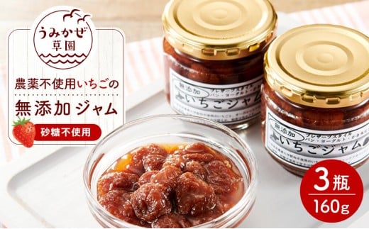 いちごの無添加ジャム（農薬不使用栽培・砂糖不使用）160g×3瓶 505640 - 広島県尾道市