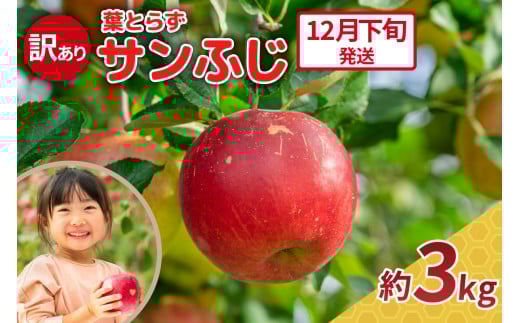 【2025年12月下旬発送】りんご 3kg 程度 葉とらず サンふじ 11月 12月 訳あり 青森産 りんご ふじ 【 サンふじりんご 葉とらずりんご リンゴジュースやお菓子作りにも くだものフルーツ果物林檎約3kg 】 2259098 - 青森県五所川原市