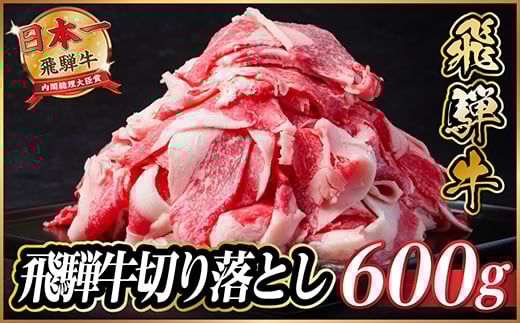 飛騨牛　切り落とし　約600g(約300g×2)＜冷蔵便＞A4～A5等級 黒毛和牛 小分け【1531512】