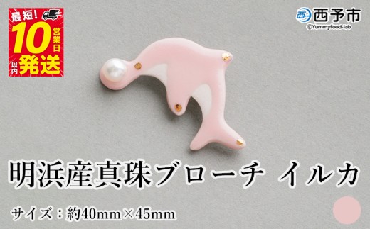 保証書付＜明浜産 真珠ブローチ イルカ（桃色）＞ 8.0～8.5mm 純国産 高品質 アコヤ真珠 宇和海 パール アクセサリー ピンク 陶器 ファッション レディース 小物 女性 誕生日 記念日 佐藤真珠 cosmic 愛媛県 西予市【常温】 1417288 - 愛媛県西予市