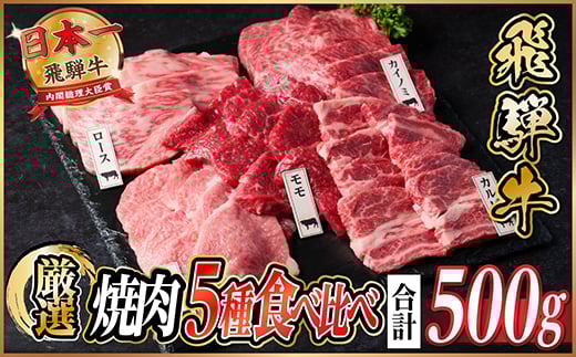 飛騨牛 焼肉厳選5種食べ比べセット(カルビ・トモサンカク・モモ・ロース・カイノミ)約500gタレ付き【1532665】 1425216 - 岐阜県羽島市