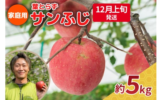 【2025年12月上旬発送】りんご 5kg 程度 葉とらず サンふじ 11月 12月 家庭用 青森産 りんご ふじ 【 サンふじりんご 葉とらずりんご リンゴジュースやお菓子作りにも くだものフルーツ果物林檎約5kg 】 2259092 - 青森県五所川原市