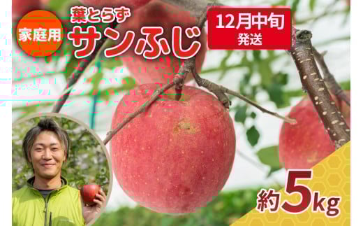 【2025年12月中旬発送】りんご 5kg 程度 葉とらず サンふじ 11月 12月 家庭用 青森産 りんご ふじ 【 サンふじりんご 葉とらずりんご リンゴジュースやお菓子作りにも くだものフルーツ果物林檎約5kg 】 2259093 - 青森県五所川原市
