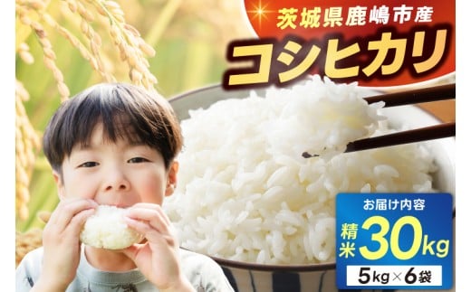 ＼新米先行予約／ 米 精米 こしひかり 30kg（5kg×6袋）鹿嶋市産【コシヒカリ お米 コメ ごはん ライス ブランド米 茨城県 鹿嶋市】(KEJ-3) 2187023 - 茨城県鹿嶋市