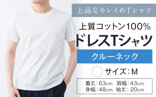 上質コットン100%のドレスTシャツクルーネック サイズ M カラー ホワイト ライフスタイルアクセント《30日以内に出荷予定(土日祝除く)》 和歌山県 紀の川市 コットン100% メンズ Tシャツ 半袖 フォーマル カジュアル 送料無料