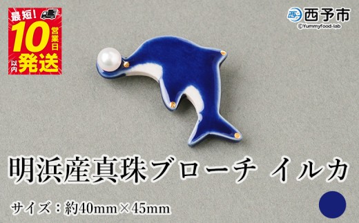 保証書付＜明浜産 真珠ブローチ イルカ（青）＞ 8.0～8.5mm 純国産 高品質 アコヤ真珠 宇和海 パール アクセサリー 陶器 ファッション レディース 小物 女性 誕生日 記念日 佐藤真珠 cosmic 愛媛県 西予市【常温】 1417287 - 愛媛県西予市