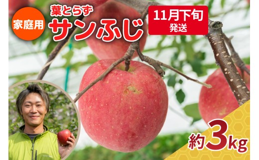 【2025年11月下旬発送】りんご 3kg 程度 葉とらず サンふじ 11月 12月 家庭用 青森産 りんご ふじ 【 サンふじりんご 葉とらずりんご リンゴジュースやお菓子作りにも くだものフルーツ果物林檎約5kg 】 2259099 - 青森県五所川原市