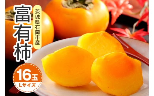 [ 2025年 先行予約 ] 富有柿 L 16玉(鈴木柿園) 柿 甘い柿 かき 富有カキ 甘い 果物 フルーツ くだもの カキ 富有かき 秋 旬 甘柿 糖度 贈答用 贈答品 ギフト 贈り物 品種 ブランド 11月 12月 発送 産地直送 農家直送 産直 茨城県 石岡市 (A08-001)