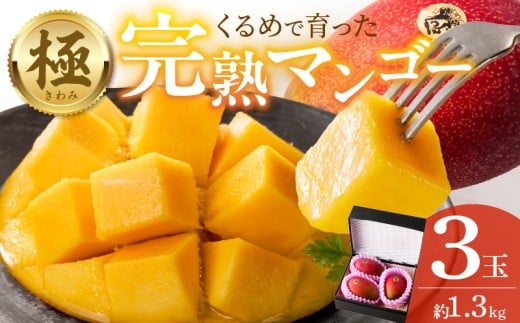【2026年6月以降お届け】極　完熟マンゴー（3玉：約1.3kg）_完熟マンゴー 3玉 約 1.3kg 久留米産 平均糖度 17度～18度 完熟 マンゴー 国産 フルーツ トロピカルフルーツ 果物 デザート 冷蔵 クール便 お取り寄せ お取り寄せフルーツ 福岡県 久留米市 送料無料_Fm019 2110366 - 福岡県久留米市