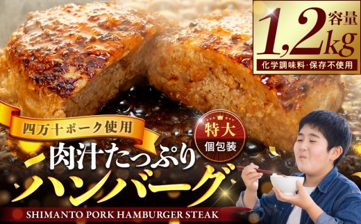 ハンバーグ 四万十ポーク 入り 1.2kg ( 200g × 6個 ) 冷凍 真空 小分け 個包装 肉汁 たっぷり 大容量 大きめ 合挽き 牛肉 豚肉 保存料 不使用 ビーフ ポーク 合いびき肉 挽肉 ジューシー お弁当 おかず 惣菜 晩ごはん 贅沢 ギフト 贈り物 贈答  2202164 - 高知県須崎市