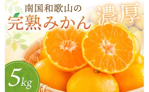 南国和歌山の完熟みかん《先行予約》5kg みかん 予約 先行予約 蜜柑 完熟蜜柑 果物 くだもの フルーツ 和歌山【配送不可地域】離島